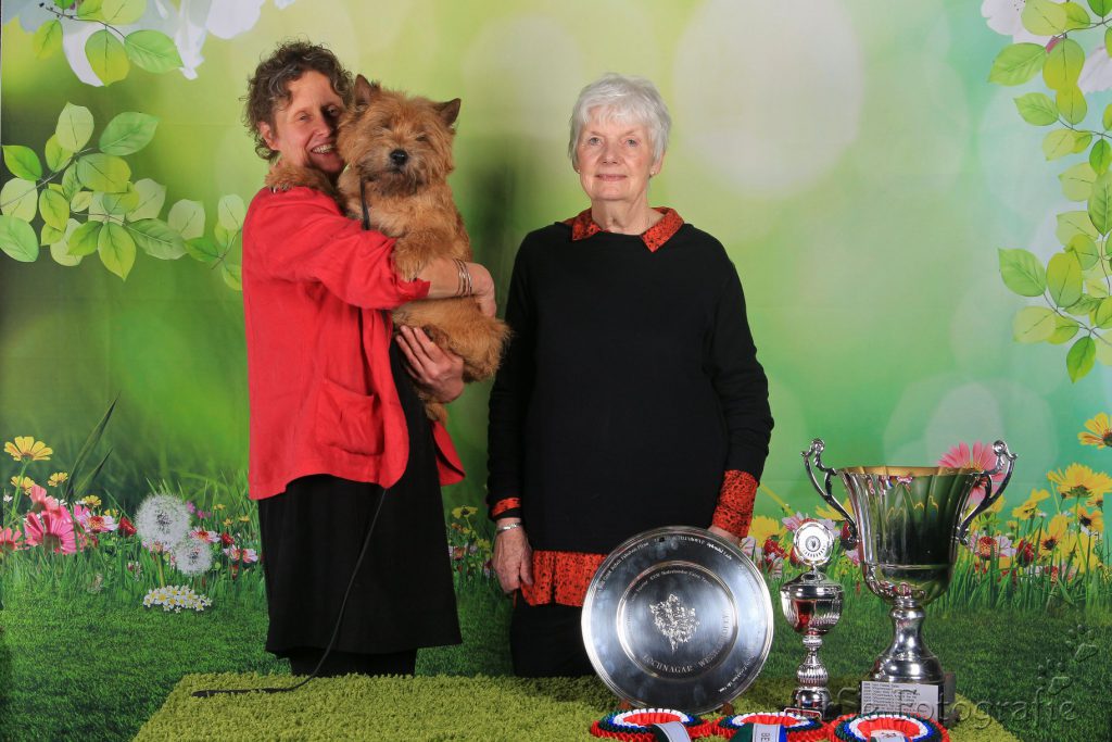 Splinterhill's Dutch Gold< Clubwinnaar 2018