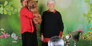 Splinterhill's Dutch Gold Clubwinnaar 2018