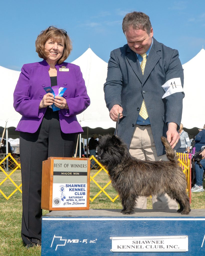 Caledonian Dutch Penny of Wolfpit met handler