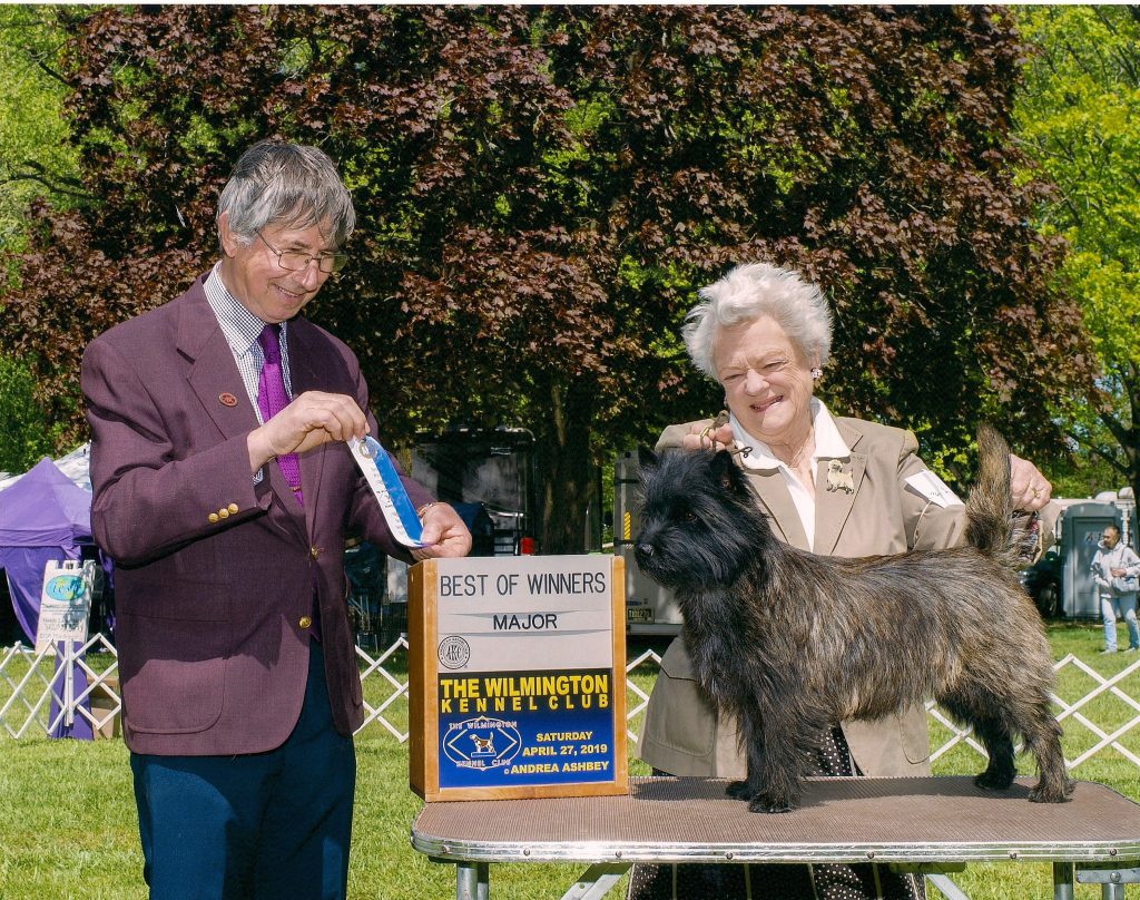 Caledonian Dutch Penny, Best of Winners in Wilmington