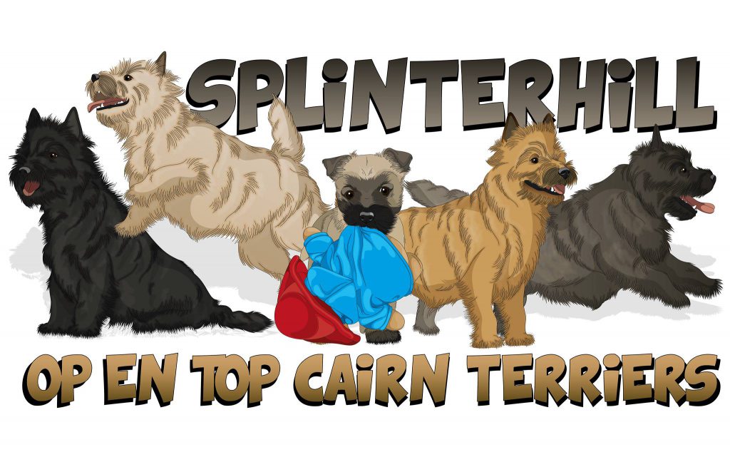 splinterhill logo