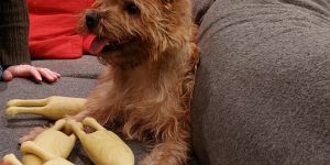 Gwenn met haar vangst